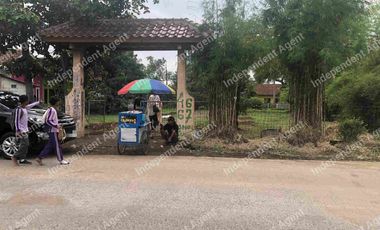Tanah darat dan sawah di Karawang Timur Jawa Barat