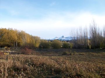 Oportunidad terreno en  Venta en Los Antiguos, Santa Cruz 11.169 m2