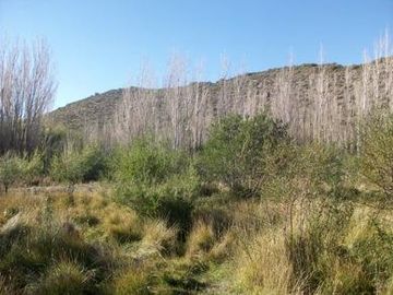Oportunidad terreno en  Venta en Los Antiguos, Santa Cruz 11.169 m2