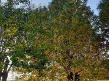 Terreno venta - 500mts2 - Nueva Atlantis