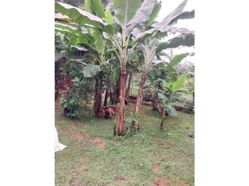 VENTA DE CASA EN DAVID LAS LOMAS 662 METROS