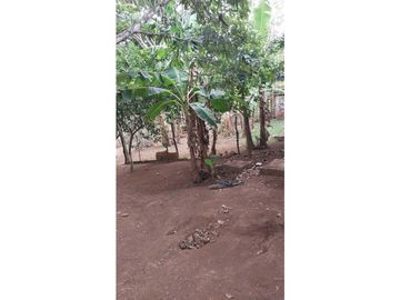 VENTA DE CASA EN DAVID LAS LOMAS 662 METROS