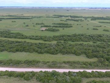 Campo en Partido Magdalena sobre Ruta 11