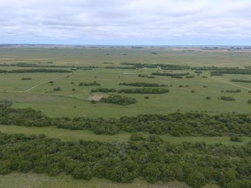 Campo en Partido Magdalena sobre Ruta 11