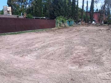 LOTE EN CALLE TERRADA