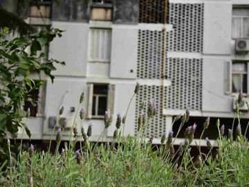 DEPARTAMENTO 4 AMBIENTES VENTA SAN ISIDRO BECCAR