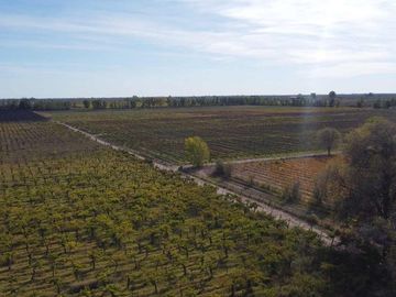 Venta Finca cultivada El divisadero Santa Rosa