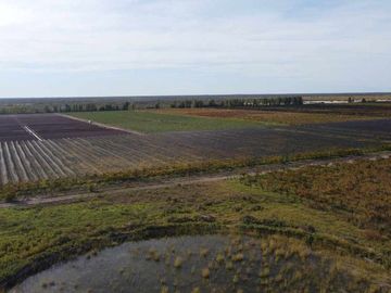 Venta Finca cultivada El divisadero Santa Rosa