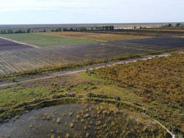 Venta Finca cultivada El divisadero Santa Rosa