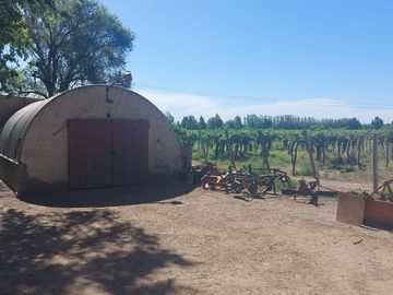 Venta Finca cultivada El divisadero Santa Rosa