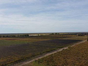Venta Finca cultivada El divisadero Santa Rosa