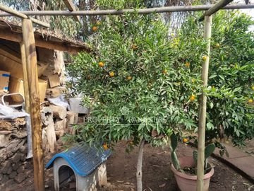 Excelente casa en consolidado condominio de la comuna