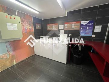 Departamento en Arriendo en Reñaca Norte