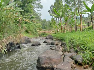 Dijual Tanah Cocok untuk PERTANIAN, PERTERNAKAN Ciwidey Bandung