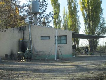 Viñedo 5.7 has. Venta Campo Cepillo Valle de Uco