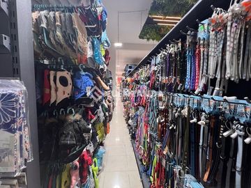 Local Comercial en Arriendo en Viana - Agua Santa Viña del Mar