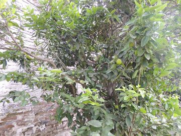 VENTA DE CASA EN CALDERON CON PISCINA