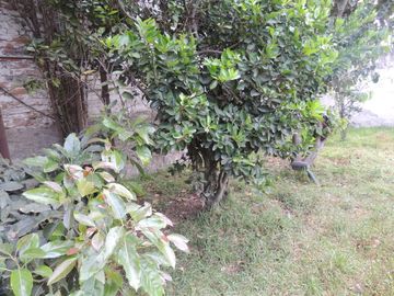 VENTA DE CASA EN CALDERON CON PISCINA