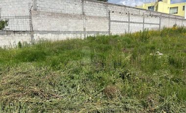 TERRENO HABITACIONAL