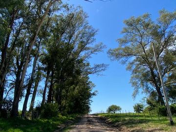 Terreno / Lote en venta de 1200m2 ubicado en Colón