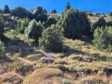 Terreno en venta de 1250m2 ubicado en San Martin de los Andes