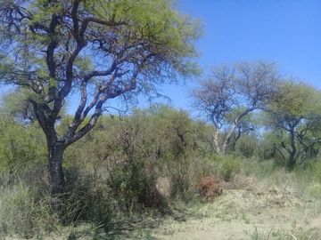 T003CB Excelente fracción de 1Ha 6.939m2 c/escritura en Villa Cura Brochero