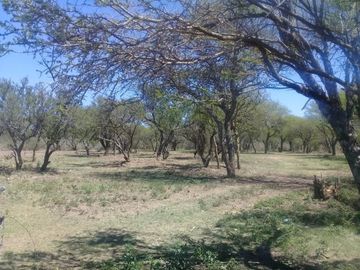 T003CB Excelente fracción de 1Ha 6.939m2 c/escritura en Villa Cura Brochero