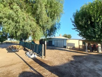 EN VENTA EXCELENTE FINCA 25 HECTAREAS EN GENERAL ALVEAR , MENDOZA