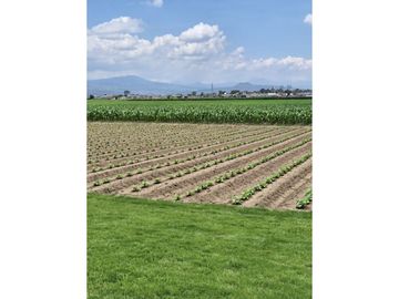 VENTA DE TERRENO EN CHALCO USO INDUSTRIAL, ESTADO DE MÉXICO