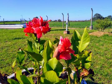 Casa de Campo y 2 Has - Ideal Fin de Semana - Emprendimientos- en Victoria Entre Ríos