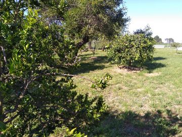 Casa de Campo y 2 Has - Ideal Fin de Semana - Emprendimientos- en Victoria Entre Ríos