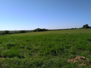 Casa de Campo y 2 Has - Ideal Fin de Semana - Emprendimientos- en Victoria Entre Ríos