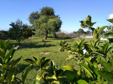 Casa de Campo y 2 Has - Ideal Fin de Semana - Emprendimientos- en Victoria Entre Ríos