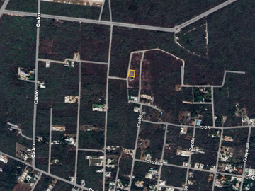 Terreno(S) en Venta en Tixcuytun