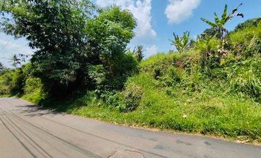 Tanah Murah di Pinggir Jalan Raya Sadeng Bogor
