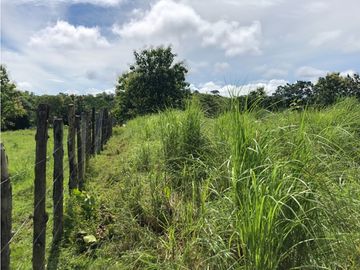 Terreno en venta de 12,907m2 en Montijo-Veraguas (DR)