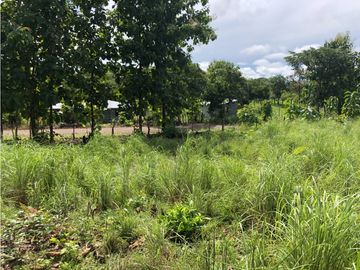 Terreno en venta de 12,907m2 en Montijo-Veraguas (DR)