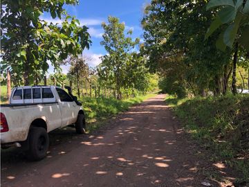 Terreno en venta de 12,907m2 en Montijo-Veraguas (DR)