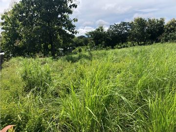 Terreno en venta de 12,907m2 en Montijo-Veraguas (DR)