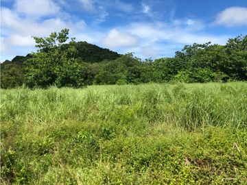 Terreno en venta de 12,907m2 en Montijo-Veraguas (DR)