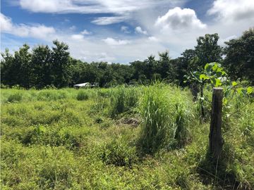 Terreno en venta de 12,907m2 en Montijo-Veraguas (DR)