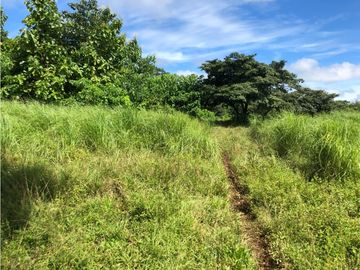 Terreno en venta de 12,907m2 en Montijo-Veraguas (DR)