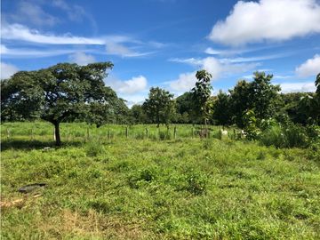 Terreno en venta de 12,907m2 en Montijo-Veraguas (DR)