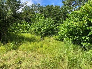 Terreno en venta de 12,907m2 en Montijo-Veraguas (DR)