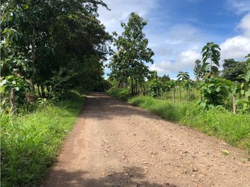 Terreno en venta de 12,907m2 en Montijo-Veraguas (DR)