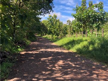 Terreno en venta de 12,907m2 en Montijo-Veraguas (DR)