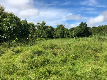 Terreno en venta de 12,907m2 en Montijo-Veraguas (DR)