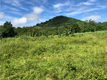 Terreno en venta de 12,907m2 en Montijo-Veraguas (DR)