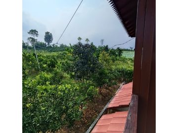 Villa Cantik Nego 2Lantai Tanah Luas Dekat Banyak Wisata Batu