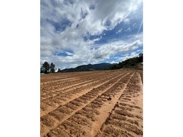 VENTA DE LOTE EN PARCELACIÓN VIA EL RETIRO LA CEJA